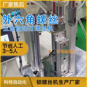 五金外六角螺丝自动拧紧机视频展示 双头自动打螺丝机